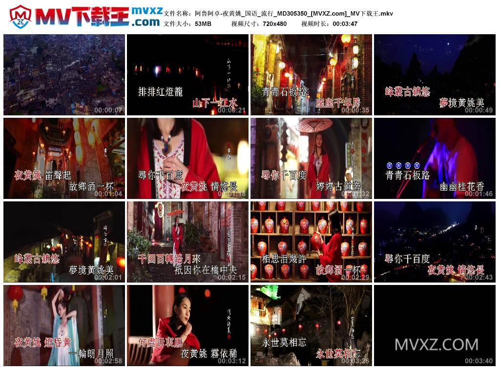 阿鲁阿卓-夜黄姚_国语_流行_MD305350